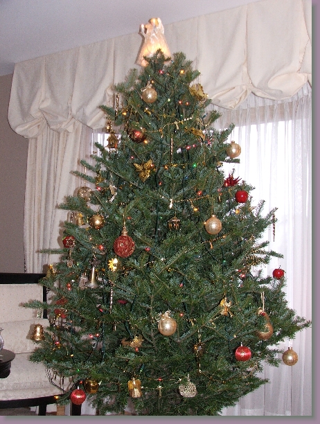 Click for the original image